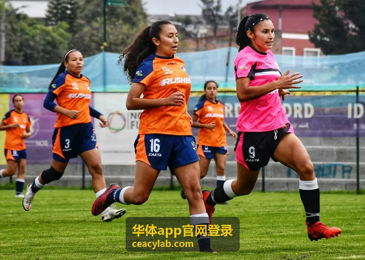 华体app官网登录安全指引
