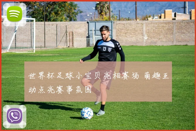 世界杯足球小宝贝亮相赛场 萌趣互动点亮赛事氛围