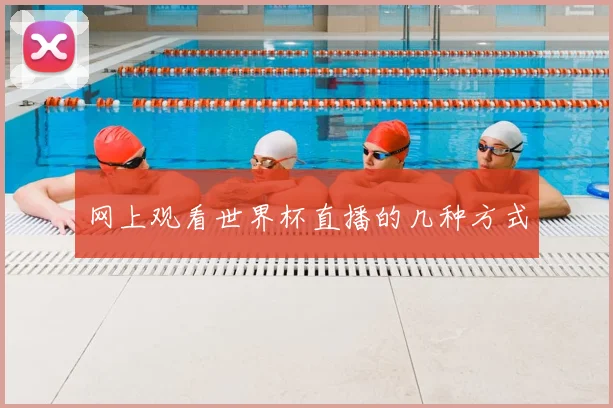 网上观看世界杯直播的几种方式